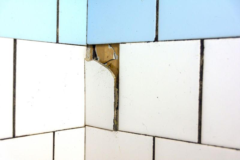 Specialized Tile Repair Services
